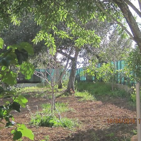 Готель Quinta Da Fonte Em Монкарапашу Екстер'єр фото